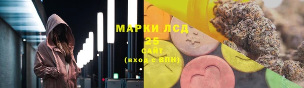 ГАЛЛЮЦИНОГЕННЫЕ ГРИБЫ Алексин