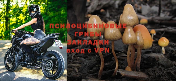 ГАЛЛЮЦИНОГЕННЫЕ ГРИБЫ Алексин